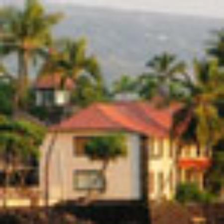 Cool Uncle Ice Cream Parlour